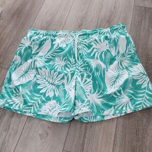 Men's Teal and White Shorts Size XL